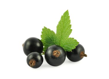 Beyaz izole yaprak ile siyah frenk üzümü