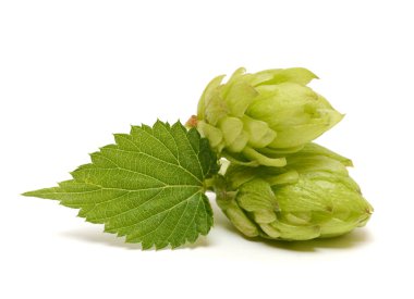 Sekme konisi beyaz arkaplanda izole