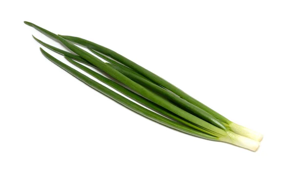 Зеленый лук изолирован на белом фоне — стоковое фото