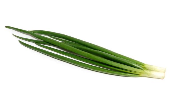 Green onion isolated on white background — Stock Photo, Image