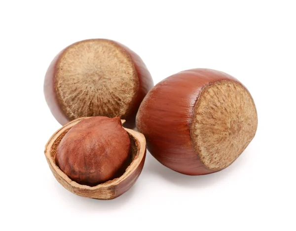 Lískový ořech izolované na bílém pozadí — Stock fotografie