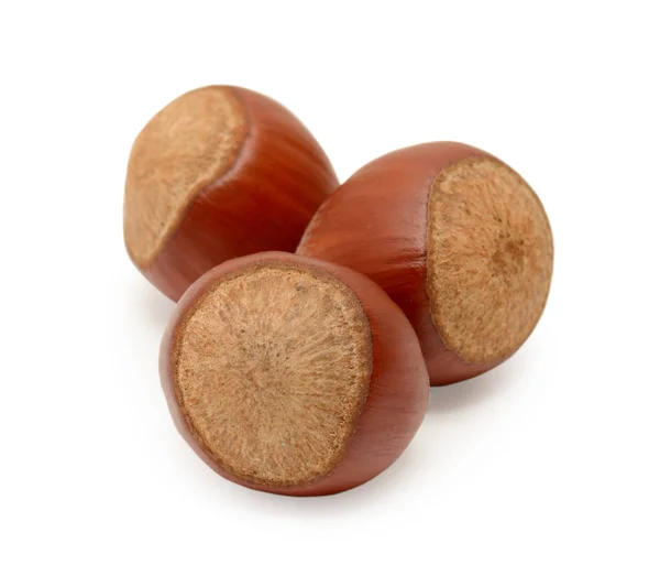 Lískový ořech izolované na bílém pozadí — Stock fotografie
