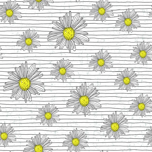 Chamomile seamless pattern with hand drawn lines. Vector illustr — Stock Vector