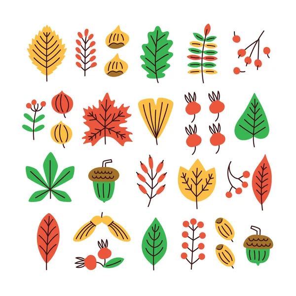 Autumn Tree Leaves Plants Vector Set Collection Colorful Garden Leaves — Stock Vector