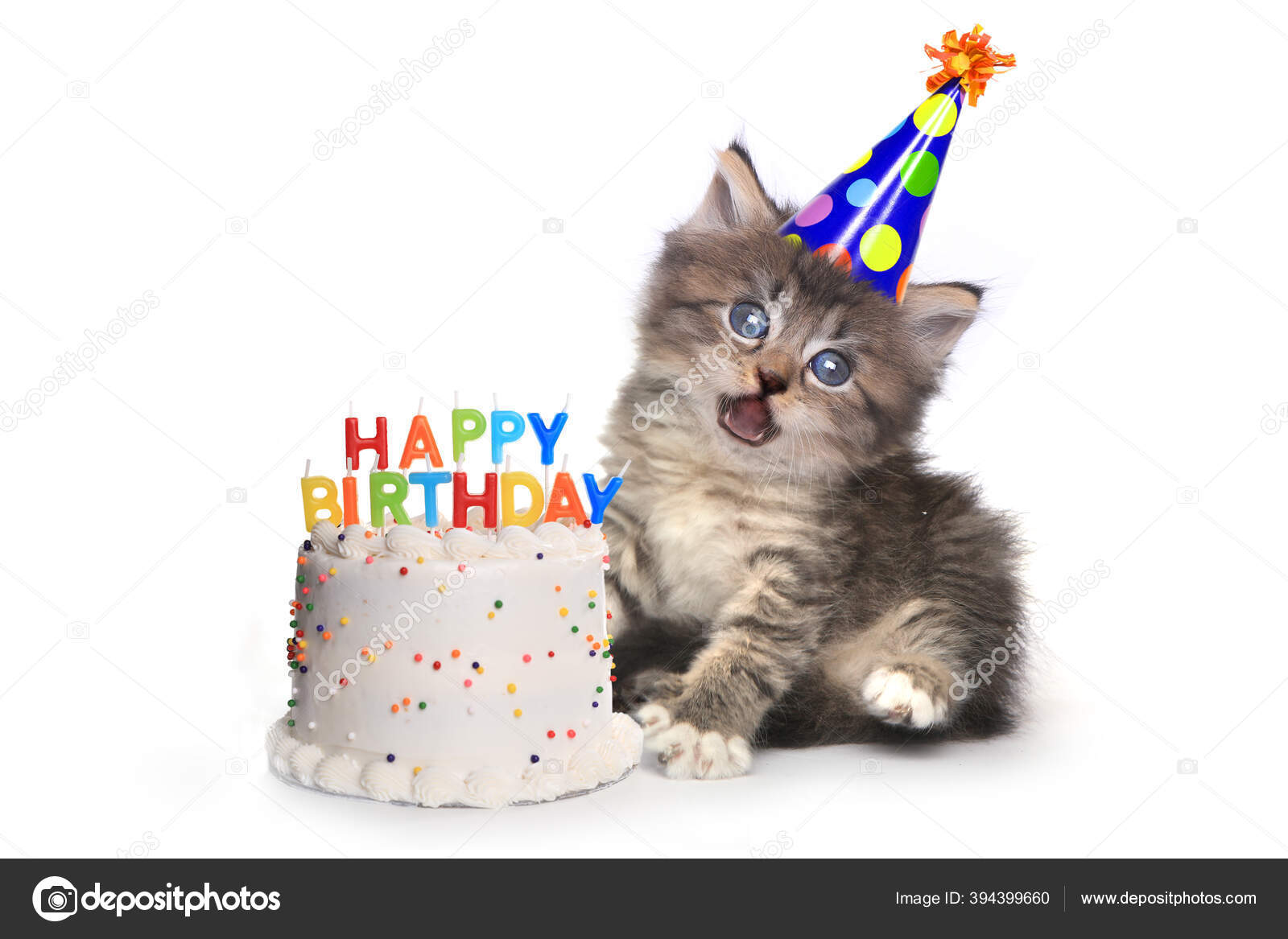 Adorable Chaton Sur Blanc Avec Celebration Gateau Anniversaire Image Libre De Droit Par Tobkatrina C Adorable Chaton Sur Blanc Avec Celebration Gateau Anniversaire Image Libre De Droit Par Tobkatrina C
