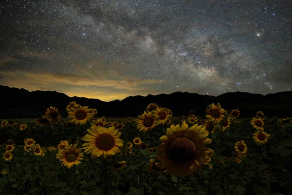 Night Sky Landscape Image Stars Universe — Stock Photo, Image