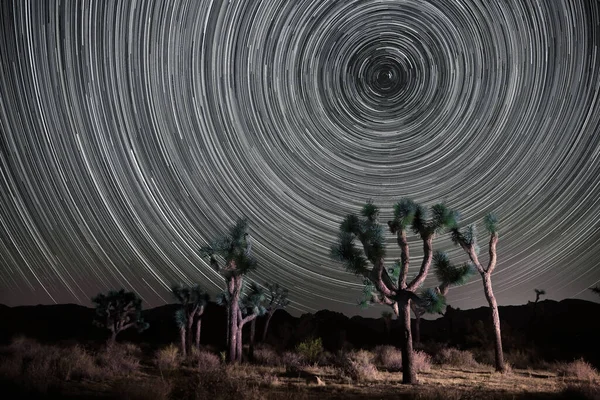 Campen Der Nacht Mit Sternenpfaden Joahua Tree Nationalpark — Stockfoto