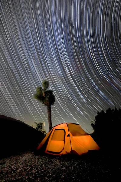 Acampar Noche Con Star Trails Parque Nacional Joahua Tree —  Fotos de Stock