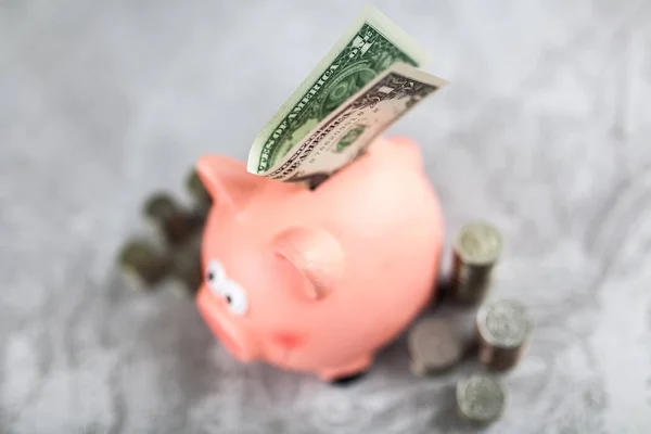 Piggy bank on grey background — Stock Photo, Image