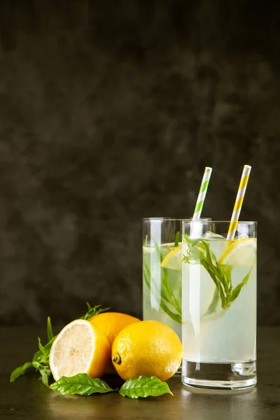 Tarhun limonata içmek — Stok fotoğraf