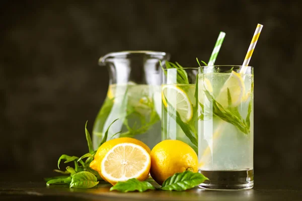 Tarhun limonata içmek — Stok fotoğraf