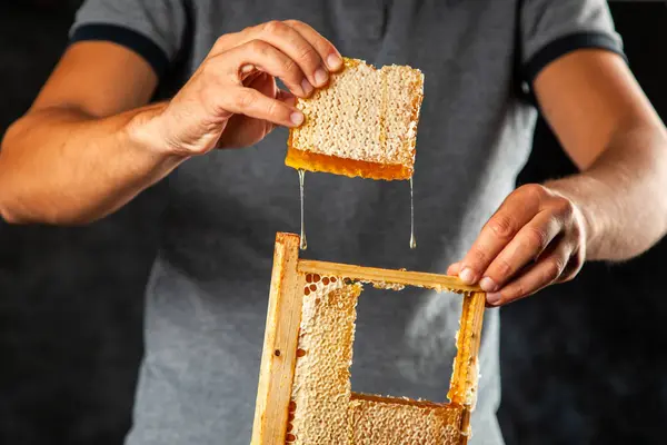 Peine de abeja en un marco de madera —  Fotos de Stock