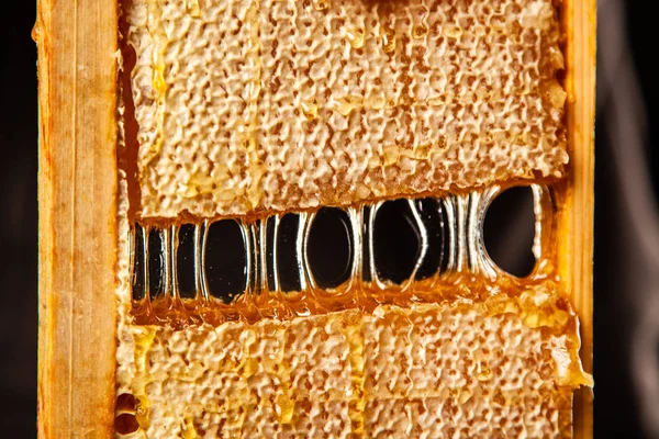 Peine de abeja en un marco de madera — Foto de Stock