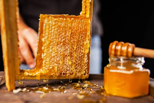 Bienenwaben im Holzrahmen — Stockfoto