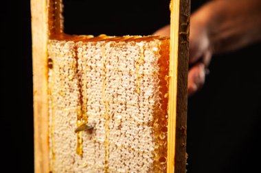 Ahşap çerçeveli bal peteği