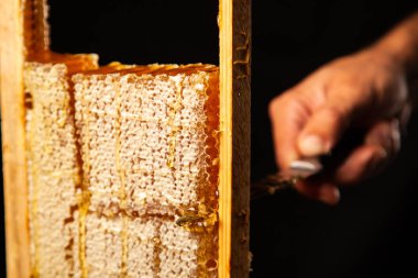 Ahşap çerçeveli bal peteği