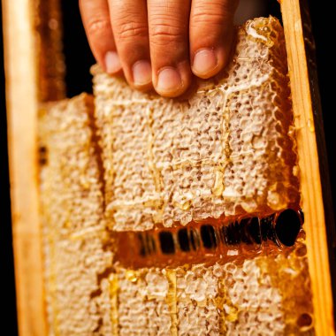 Ahşap çerçeveli bal peteği