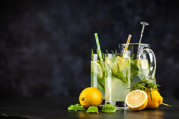 Tarhun limonata içmek — Stok fotoğraf