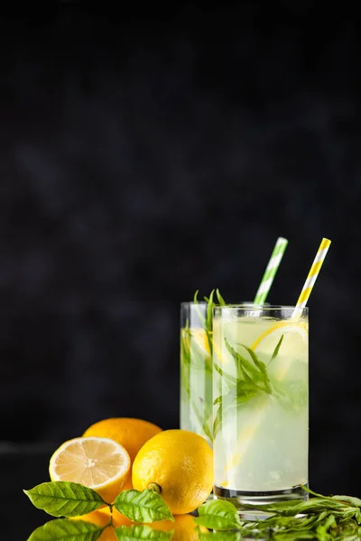 Tarhun limonata içmek — Stok fotoğraf