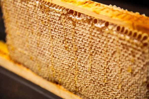 Honingraat in een houten frame — Stockfoto