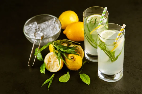 Tarhun limonata içmek — Stok fotoğraf