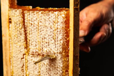 Ahşap çerçeveli bal peteği