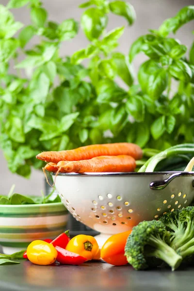 Surtido de verduras frescas — Foto de Stock