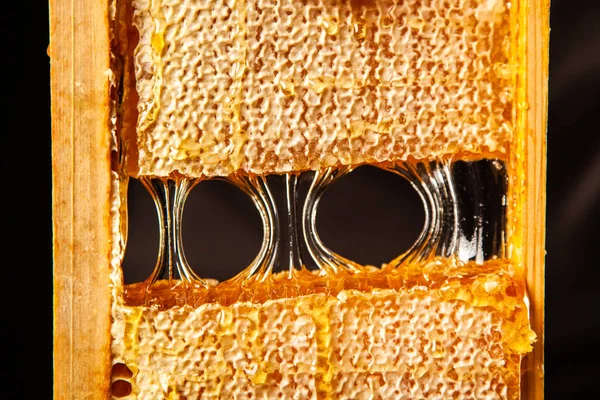Peine de abeja en un marco de madera —  Fotos de Stock