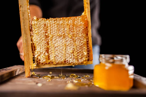 รังผึ้งในกรอบไม้ — ภาพถ่ายสต็อก