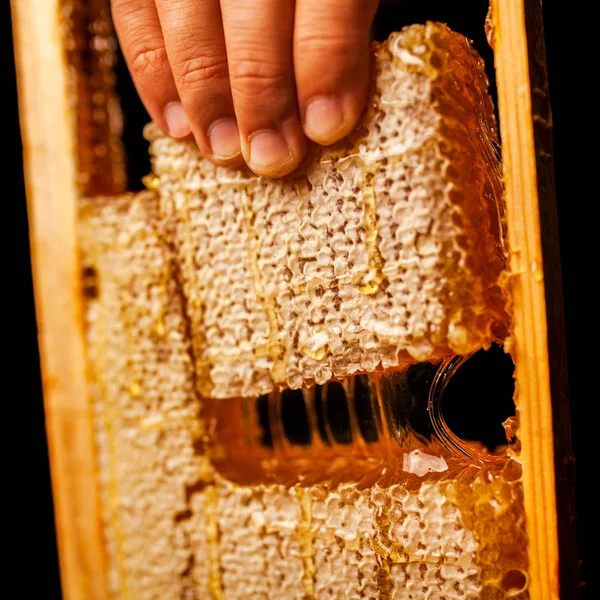 Honeycomb in a wooden frame — Stock Photo, Image