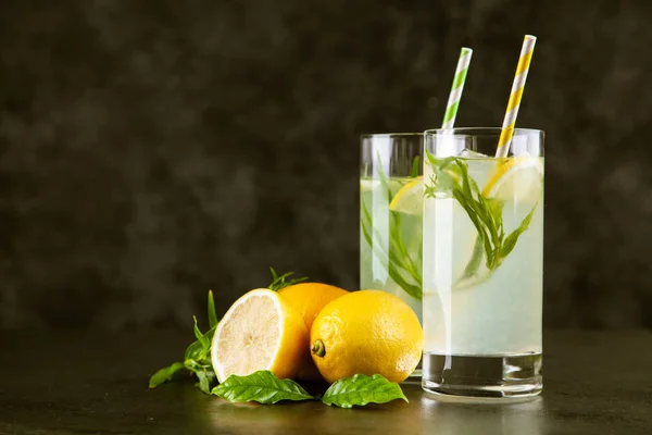 Tarhun limonata içmek — Stok fotoğraf