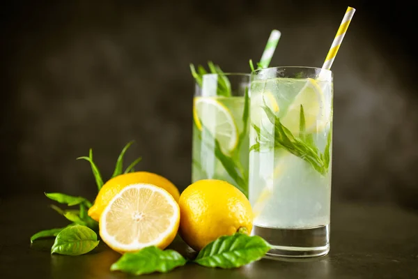 Tarhun limonata içmek — Stok fotoğraf