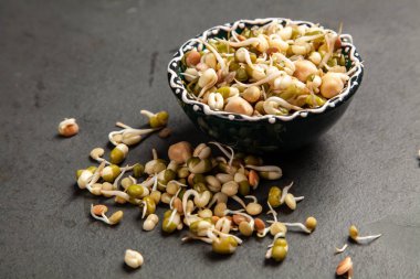 bir kase içinde fasulye filizi