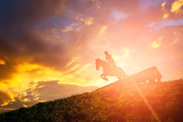 Лошадь прыгает через препятствие — стоковое фото