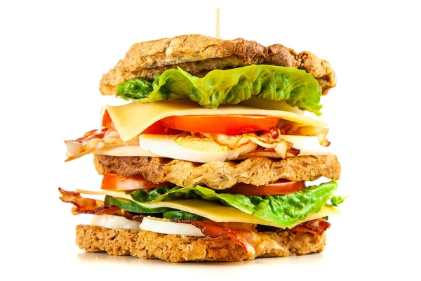 Uzun boylu club sandviç — Stok fotoğraf