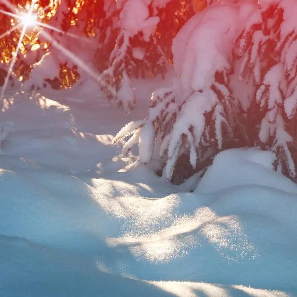 Paesaggio Invernale Con Sole Serale — Foto Stock