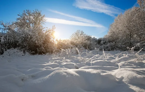 朝の太陽と冬の風景 — ストック写真