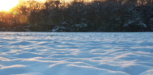 Winterlandschap Met Avondzon — Stockfoto
