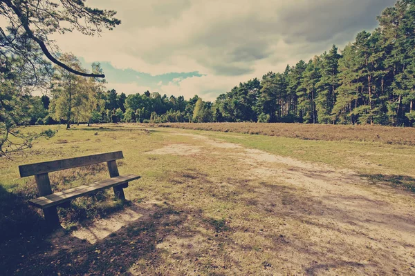 Vintage Foto Einer Bank Einem Park — Stockfoto