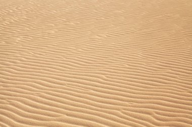 dalgaların çöl kum