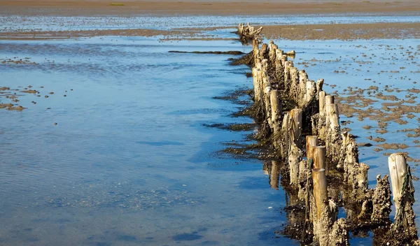 Old Wooden Breakwater Wadden Sea — Stock Photo, Image