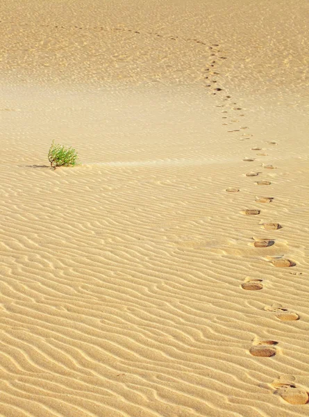Dunas Areia Com Passos Humanos — Fotografia de Stock