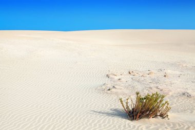 kum tepeleri Corralejo, Fuerteventura