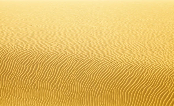 Ondulations Dans Sable Désert — Photo