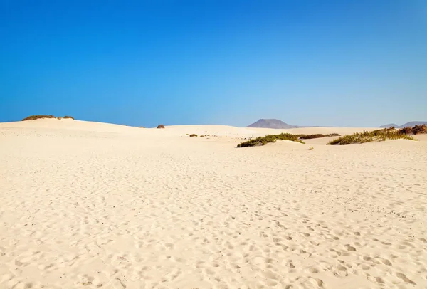 Dunas Areia Corralejo Fuerteventura — Fotografia de Stock