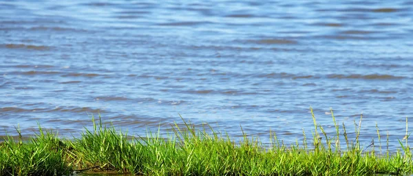 Frisches Grünes Gras Und Blaues Meerwasser — Stockfoto