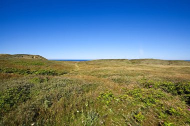 yaz, güzel Danimarka sahil şeridi