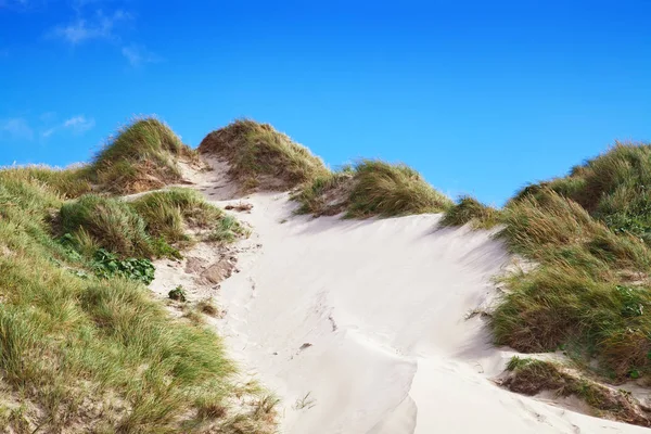 Prachtige Deense Kust Zomer — Stockfoto