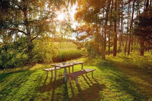 Bosque Con Mesa Picnic Bancos — Foto de Stock