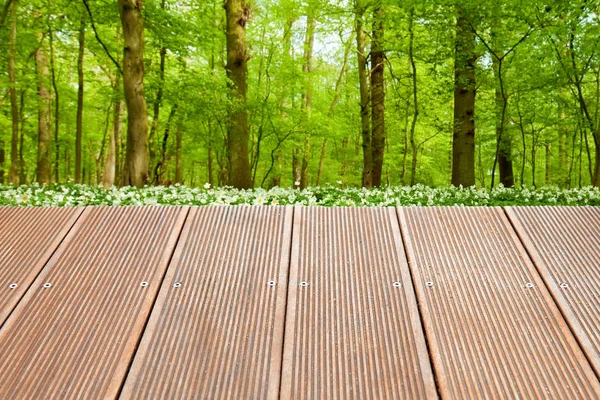 Suelo Madera Con Bosque Primavera Verde —  Fotos de Stock